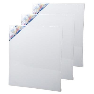 Gerimport Schilderdoek - 3x stuks - 60 x 50 cm - blanco canvas - rechthoekig - houten frame