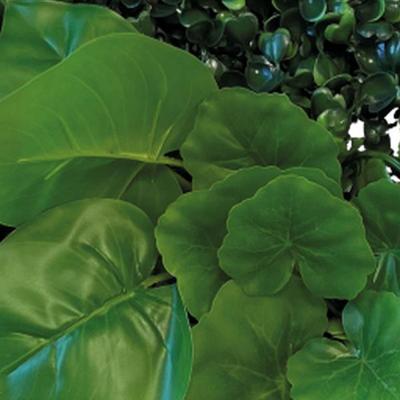 Repto Aquadistri plant achterwand mat 25x25 cm 1 - Aquadistri