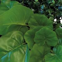 Repto Aquadistri plant achterwand mat 25x25 cm 1 - Aquadistri