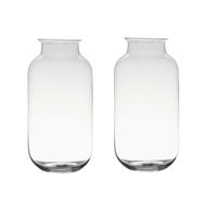 Set van 2x stuks transparante home-basics vaas/vazen van glas 35 x 17 cm