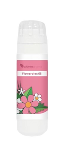 Balance Pharma Flowerplex 066 Troost