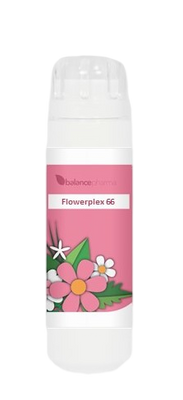 Balance Pharma Flowerplex 066 Troost