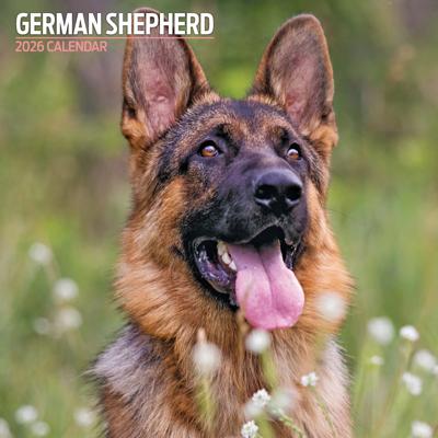 Duitse Herder Kalender 2026
