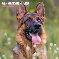 Duitse Herder Kalender 2026