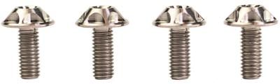 SILCA bevestigingsbout screw silver 4pcs.
