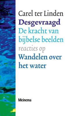 Desgevraagd - Carel ter Linden - ebook