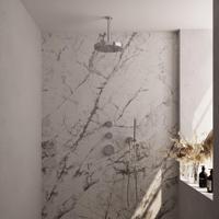 BRAUER Stripe Thermostatische Inbouw Regendouche - SET 03 - 25cm douchekop - plafondarm - staaf handdouche - doucheslang - wandaansluitbocht - chroom 5-CE-369