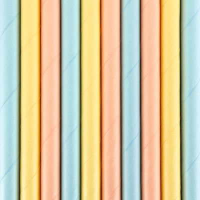 Drinkrietjes - papier - 10x - multi kleuren pastel - 19,5 cm - rietjes