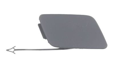 Bumperafdekking, trekhaak 5513000051920P