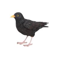 Esschert Design merel 17,4x5,9x11,8cm