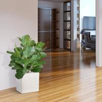 Royal Lyrata bol deluxe kunstplant 75cm Royal Lyrata bol deluxe kunstplant 75cm