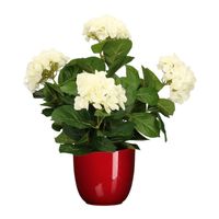 Hortensia kunstplant/kunstbloemen 45 cm - wit - in pot rood glans