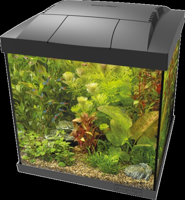 Superfish Start Qube 30 kit zwart