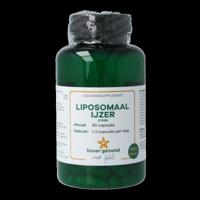 Liever Gezond Liposomaal ijzer sterk 60 Vegetarische capsules