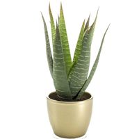 Kunstplant Aloe Vera - groen - in gouden pot - 23 cm - thumbnail