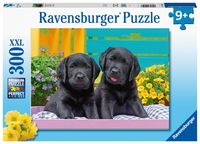 Ravensburger puzzel 300 stukjes zwarte labradors