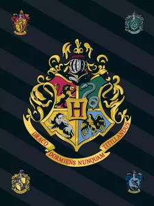 Harry Potter fleece plaid Hogwarts - 100 x 140 cm (zwart)