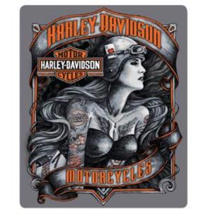 Harley-Davidson Biker Babe Harten Aas Metalen Bord Met Reliëf