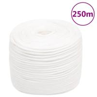 Boottouw 10 mm 250 m polypropyleen volwit