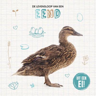 De levensloop van een eend (Hardback)
