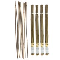 Gerimport Plantenstokken - 40x stuks - 60 cm - plantensteun / tonkinstokken