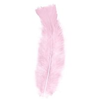 50x Licht roze veren/sierveertjes decoratie/hobbymateriaal 17 cm