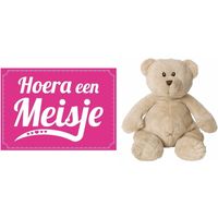 Kraamcadeau beren knuffel 17 cm met Hoera een meisje wenskaart /ansichtkaart   -