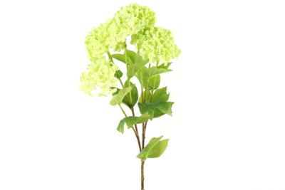 Kunstbloem Viburnum groen II - Countryfield