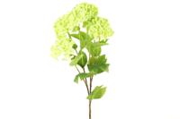 Kunstbloem Viburnum groen II - Countryfield
