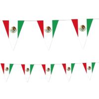 Mexico vlaggenlijn slingers - 350 cm - landen versiering vlaggetjes - papier