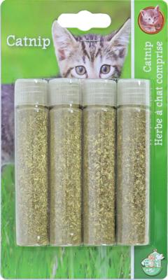 Boon catnip in tube 4 stuks - Gebr de boon