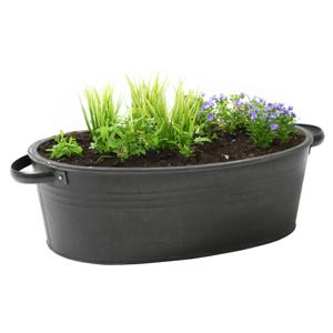 Mega Collections&amp;nbsp;teil/plantenpot Farmer - ovaal - zink - zwart - L33 x D23 X H14 cm   -