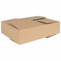 VidaXL Vouwdoos met opslag 50 pcs naturel 40 x 30 x 10 cm karton