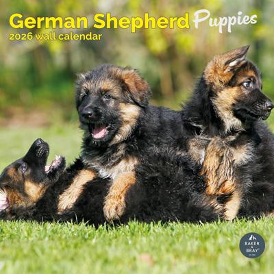 Duitse Herder Puppies Kalender 2026