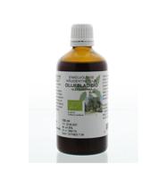 Olea europaea folia / olijfblad tinctuur bio