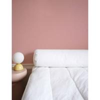 Kussen - TOISON D'OR - POLLUX - Stevig comfort - 140 cm - Wit