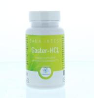 Gaster-HCL 120 Capsules