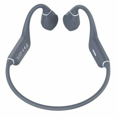 Oordopjes LEOTEC LEBONE03G Grijs