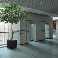Coffee Arabica Giant kunstboom 320cm