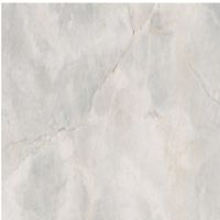 Vloer- en Wandtegel Cerrad Masterstone 120x280 cm Gerectificeerd Marmerlook Gepolijst White Cerrad