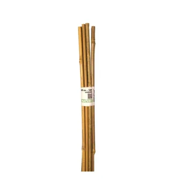 Nature Bamboestok l60cm d6-8mm 10st