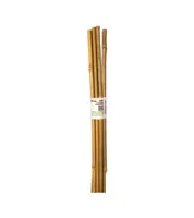 Nature Bamboestok l60cm d6-8mm 10st