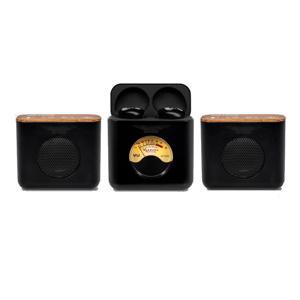 Ashdown Meters Music LINX - Set Stereo Speakerset Bluetooth + oordopjes