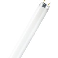 OSRAM HOMELIGHTING TL-lamp Energielabel: G (A - G) G13 36 W Warmwit Buis (Ø x l) 26 mm x 1213.6 mm 1 stuk(s)
