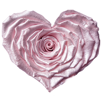 Longlife Rozenhartje Strawberry Satin Longlife Rozenhartje Strawberry Satin