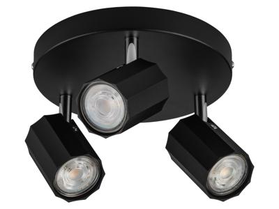 LIVARNO home Plafondlamp (Plafondlamp, mat zwart)
