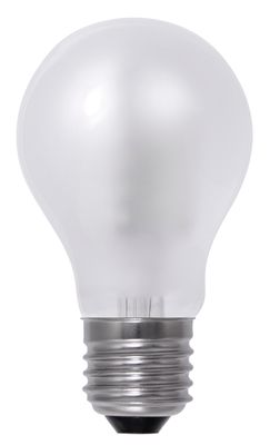 LED lamp 8W 2600K 600 lm mat E27 filament Segula dimbaar 55335