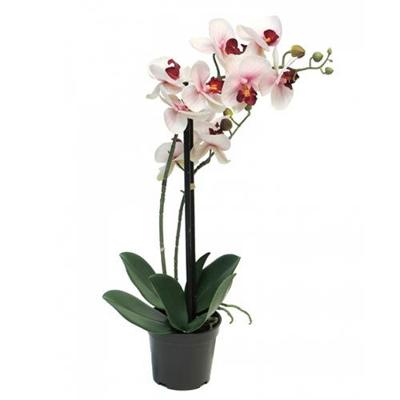 Phalaenopsis Orchidee in pot 50 cm roze kunstplant - Nova nature
