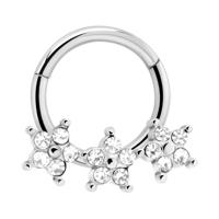 Hinged Segment Ring Chirurgisch staal 316L Piercingringen - thumbnail