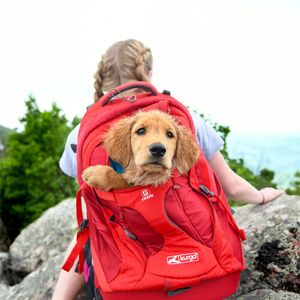 Kurgo G-Train K9 Pack - 53 x 33 x 25 cm - Chili Red